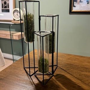 Modern candle holder w/ moss(moss is removable)adjustable placement, glass tubes